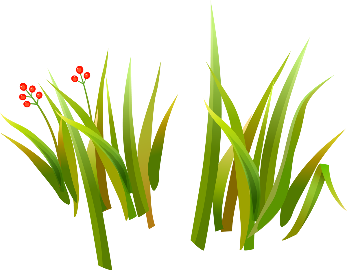 Травинки на прозрачном фоне