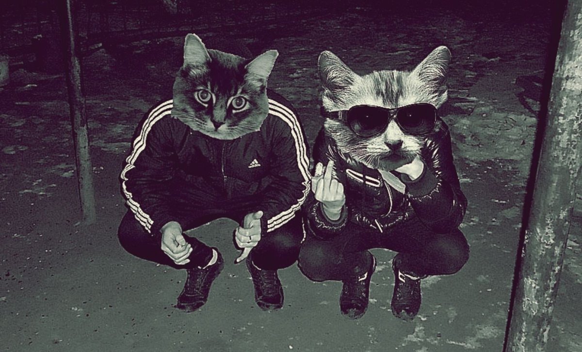 Ахмеров Эмиль