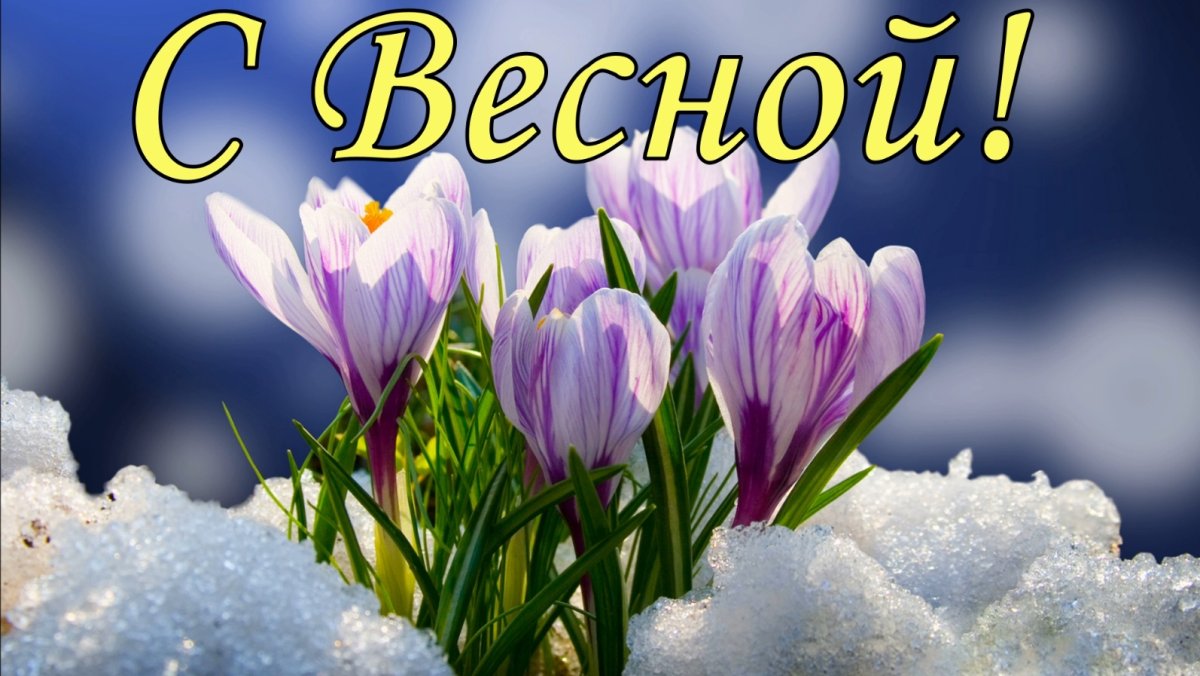 Весенние цветы из под снега