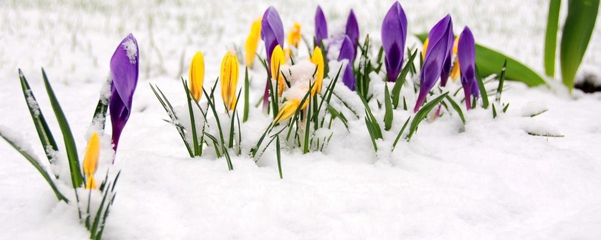 Март природа