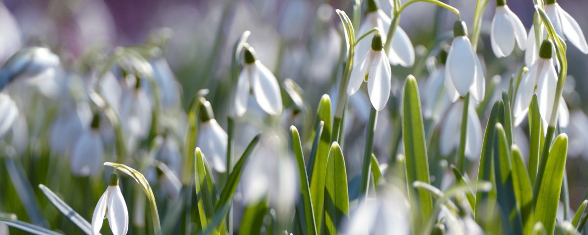 С днем социального работника