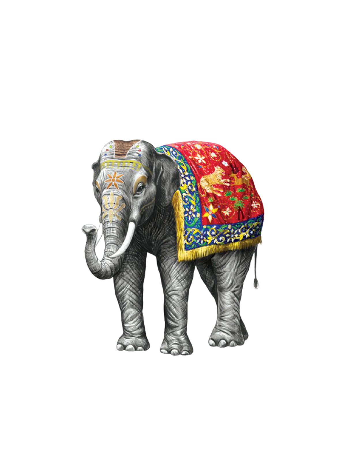 Модель индийского слона вид сверху