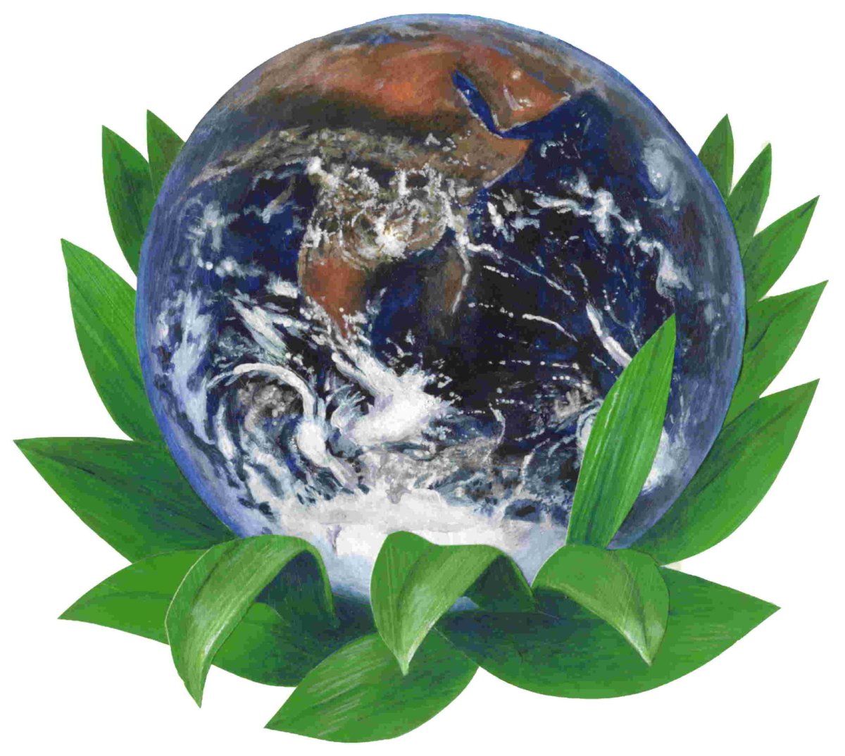 Чистая и здоровая Планета