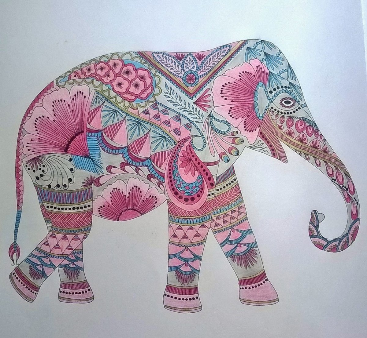 Индийский слон аппликация