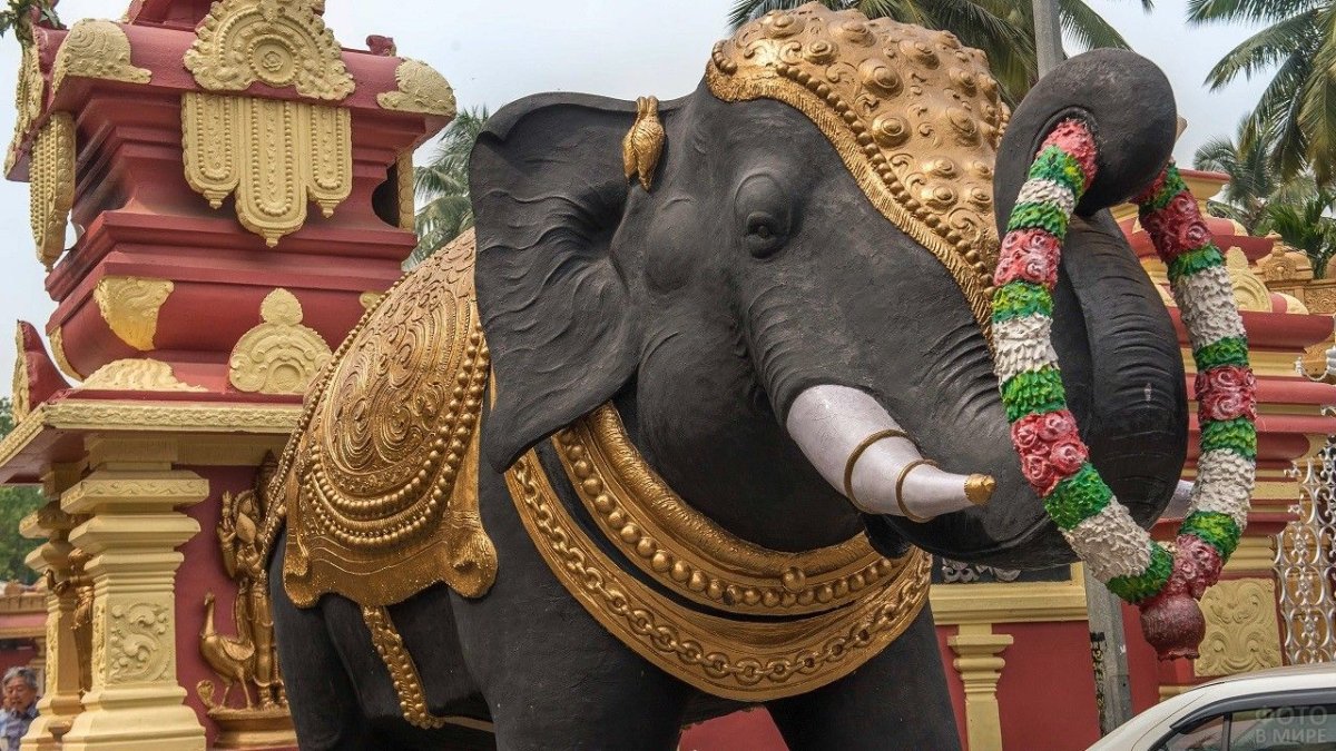 Индия Тадж и слон