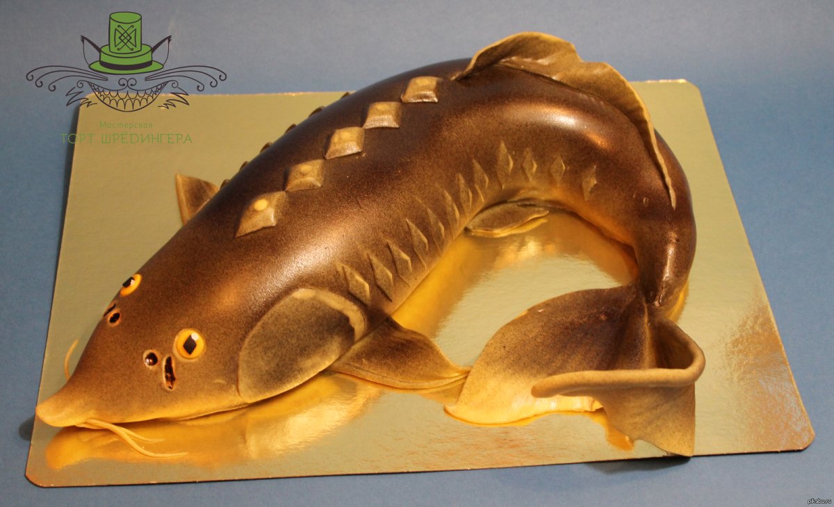 Рыбки по фен шуй