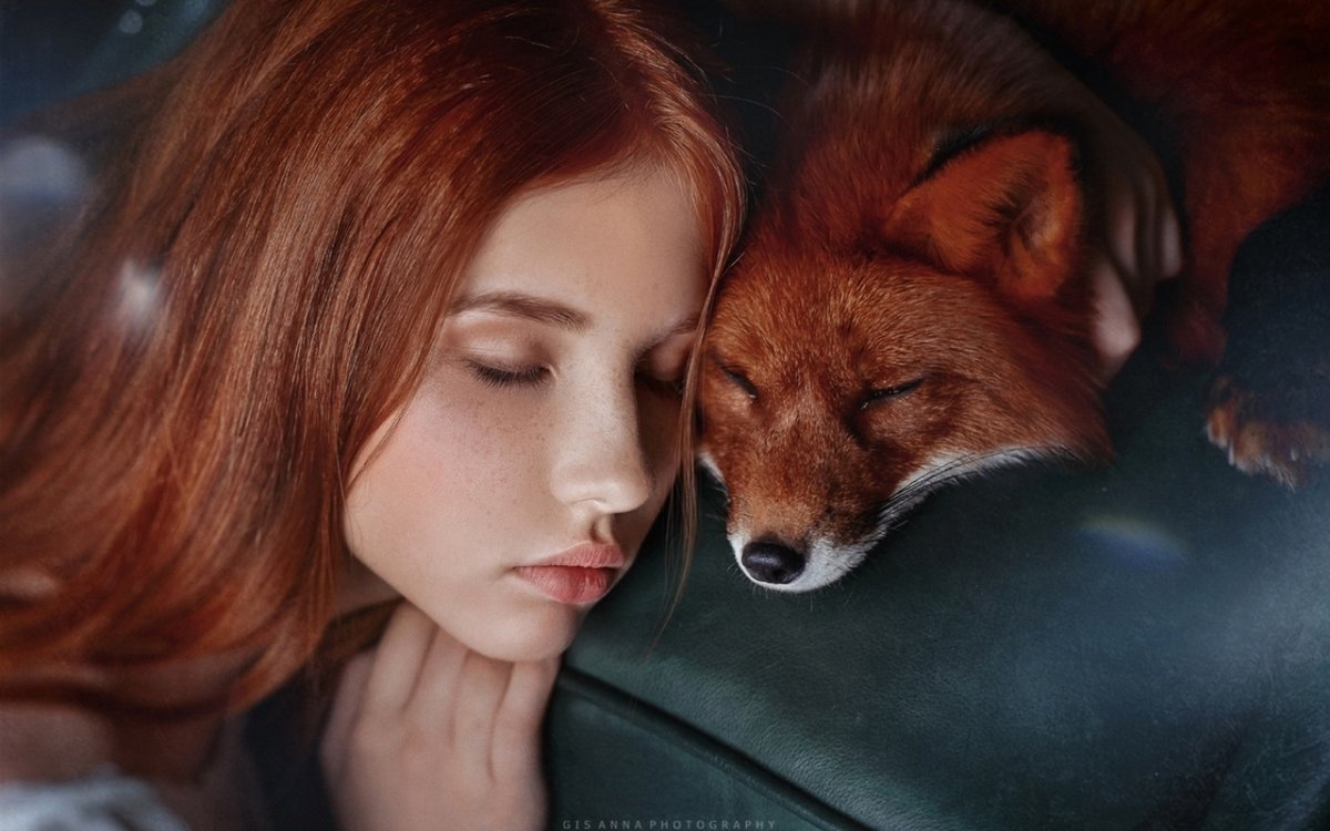 Лис сидит спиной