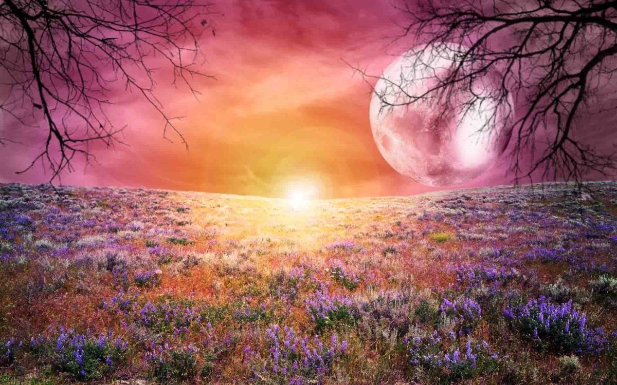 Фантастические пейзажи