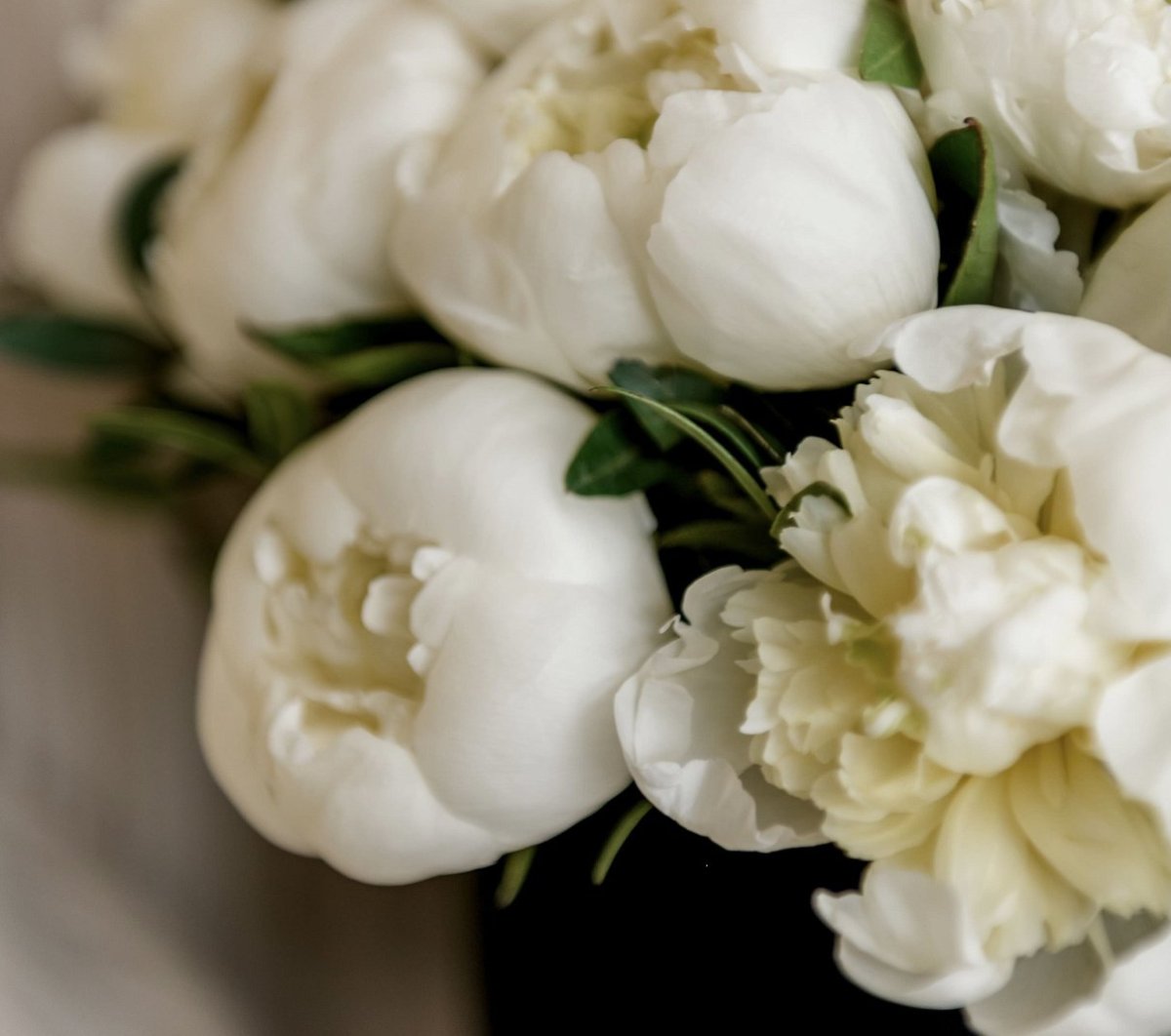 Пионы белые с жемчугом