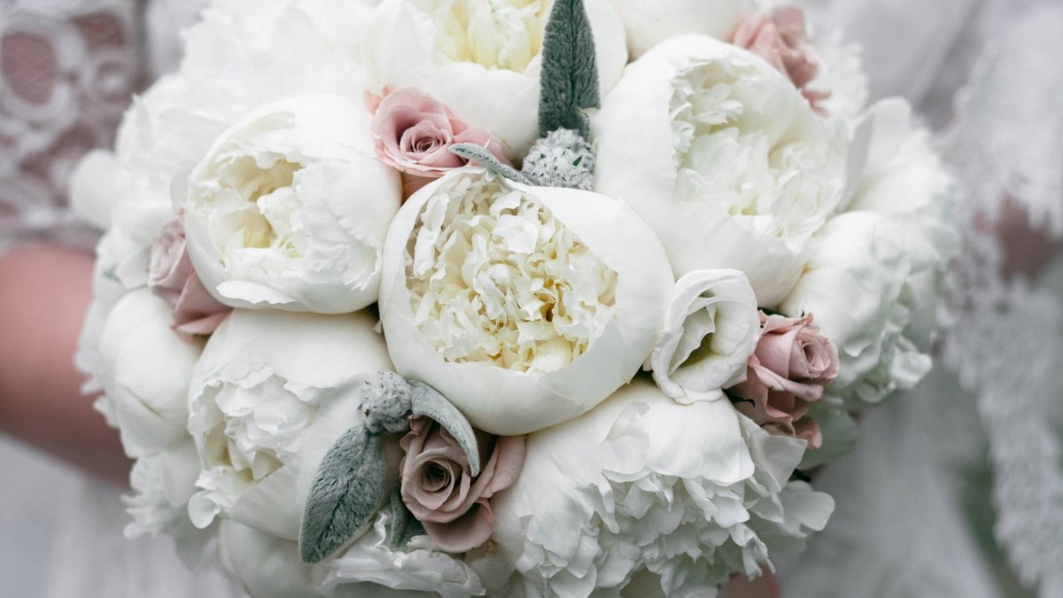 Цветы на белом фоне