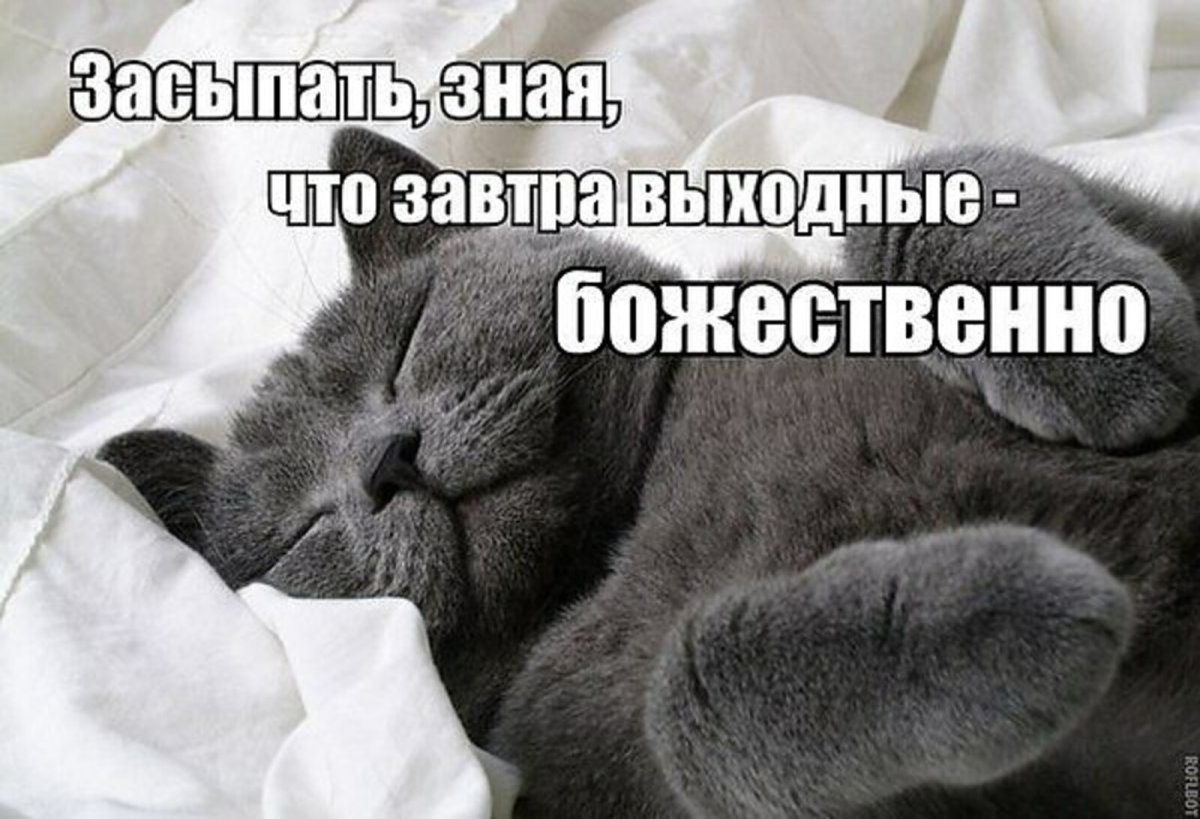 Спокойной ночи суббота