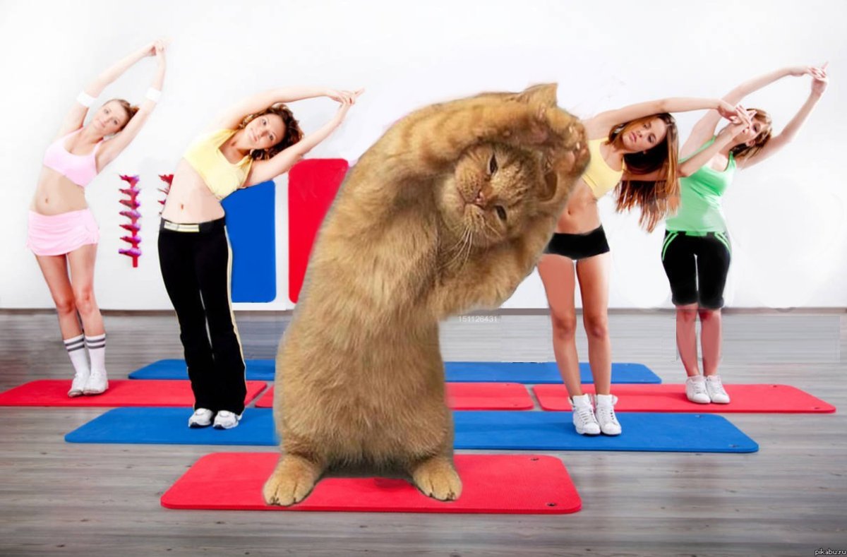 Мотивация для похудения для девушек