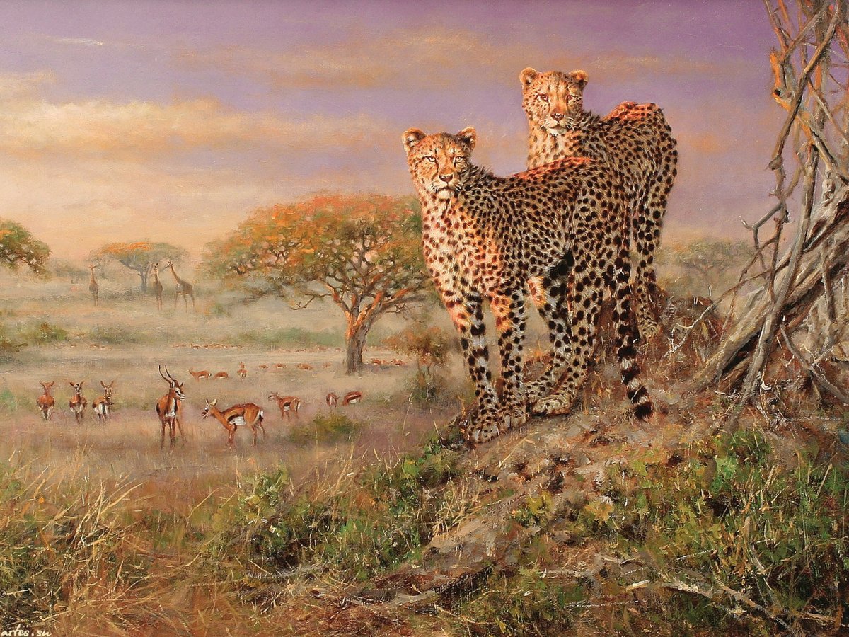 Животные половинки