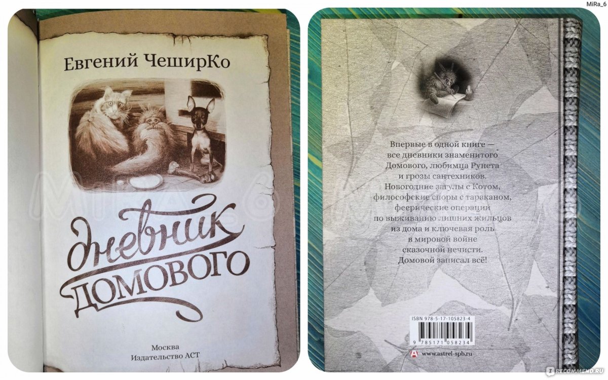 Домовой ЧЕШИРКО