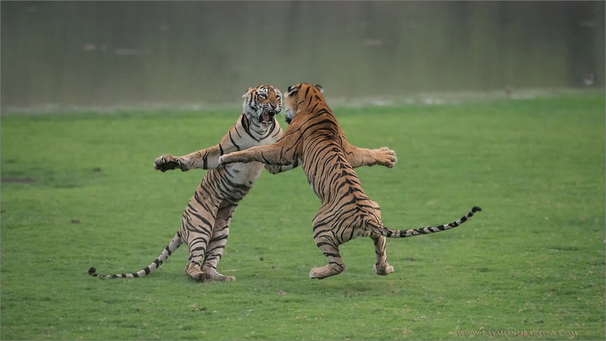 Сколько лет сколько зим