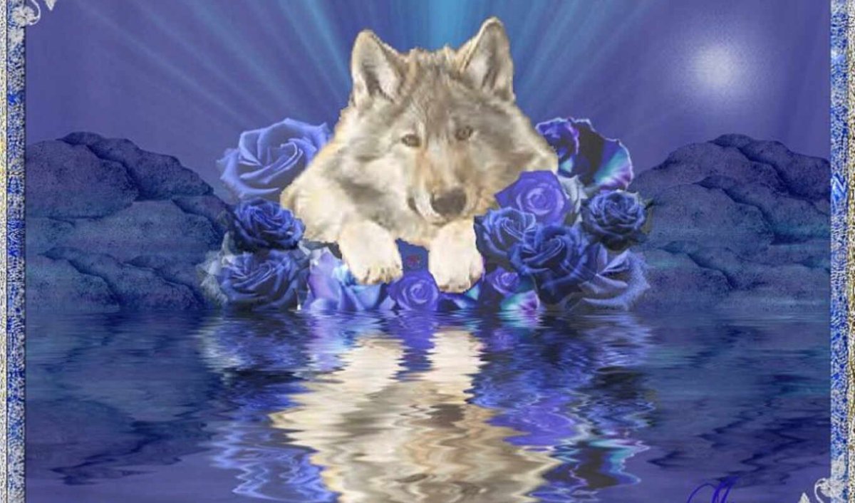 Открытка с волком с днем рождения