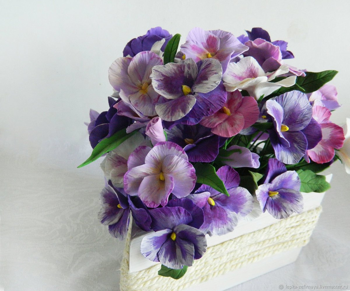 Фиалка Букетная