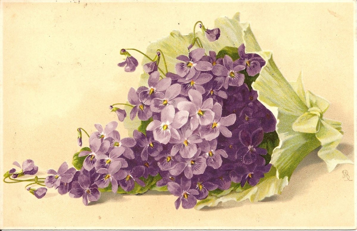 Пармские фиалки букет