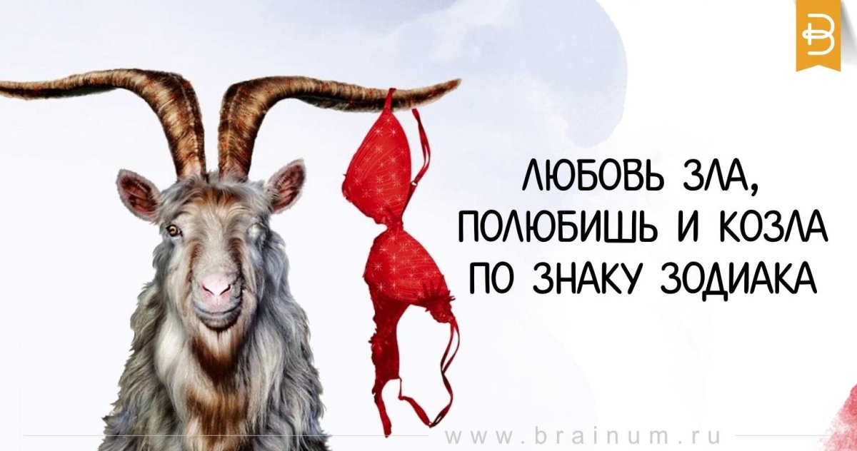 Обои козочки