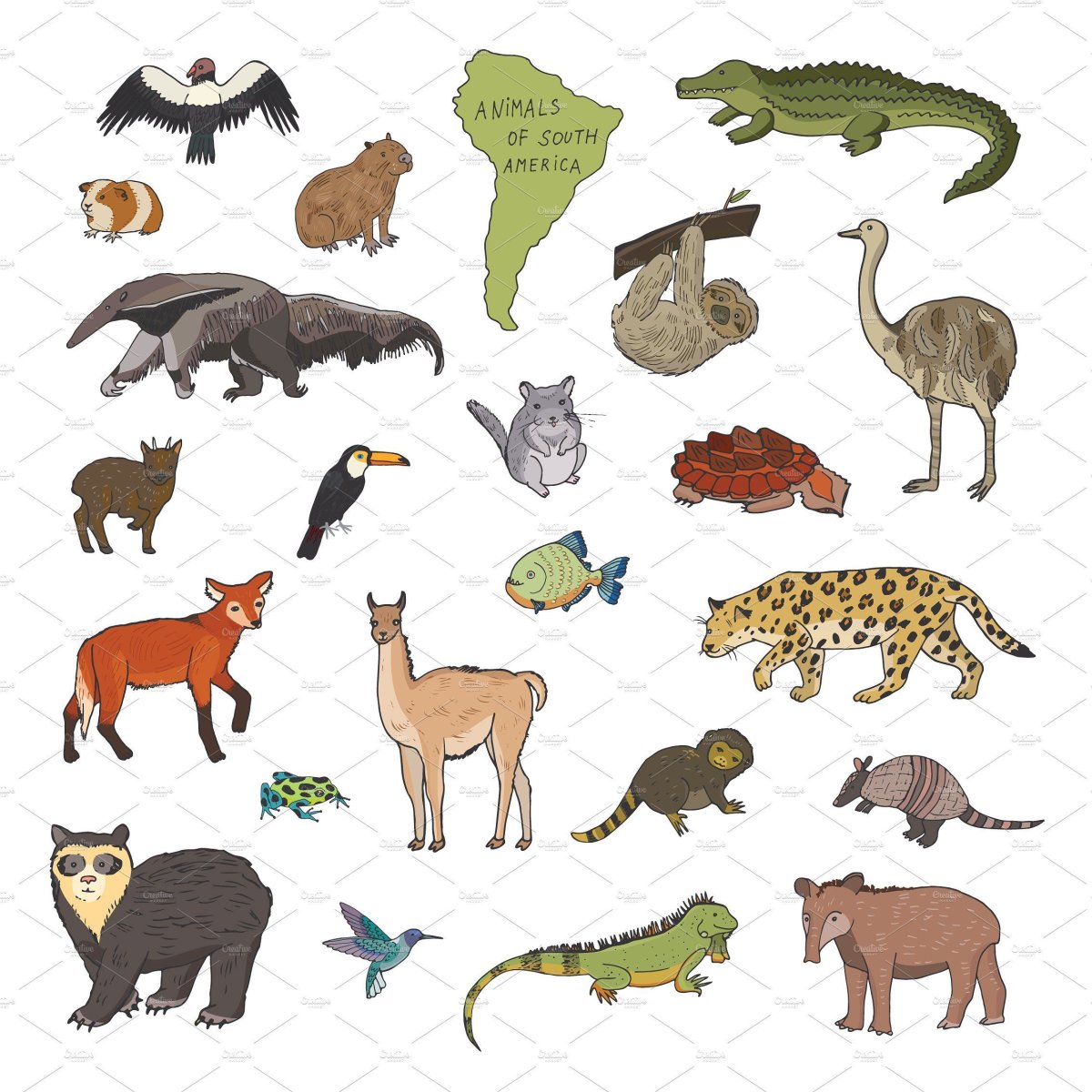 Материк Америка для детей