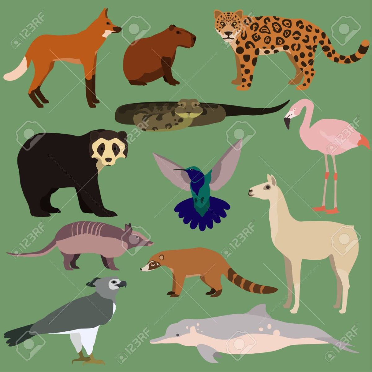 Животные Южной Америки мультяшные