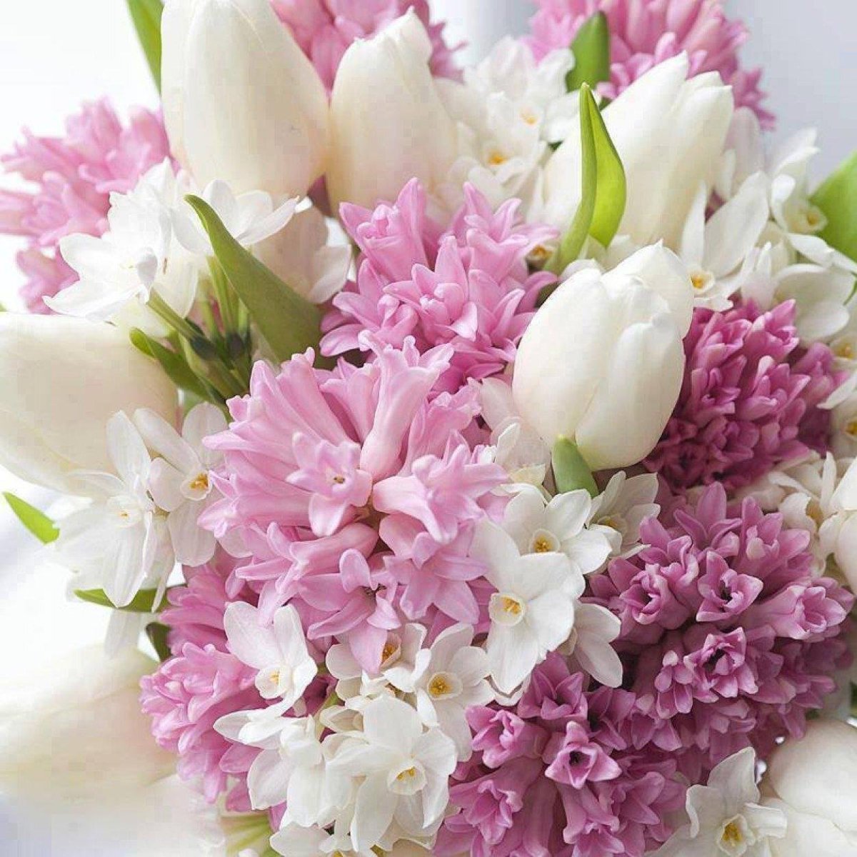 Кофе и гиацинты