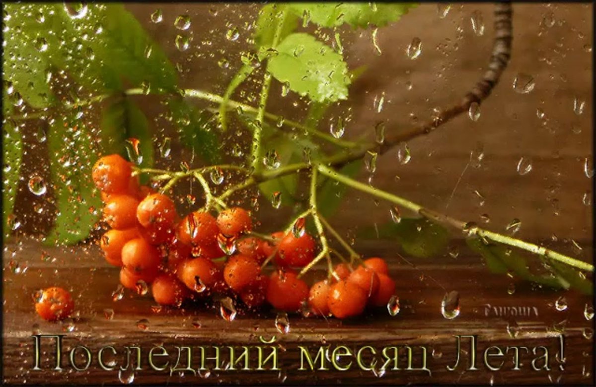 Отличного настроения в осенний дождливый день