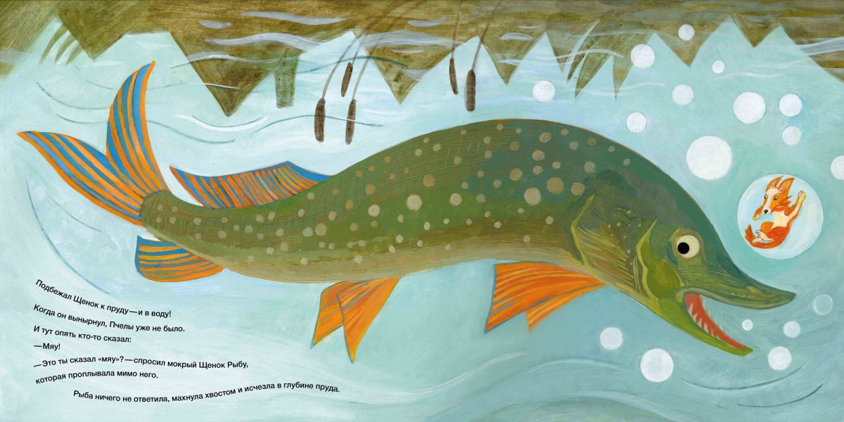 Щука Россия