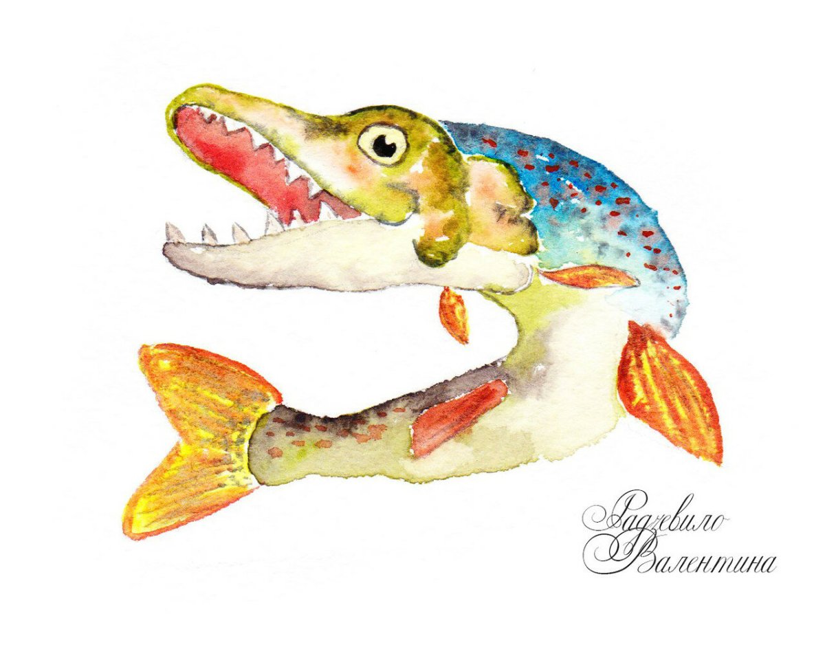 Щука из сказки