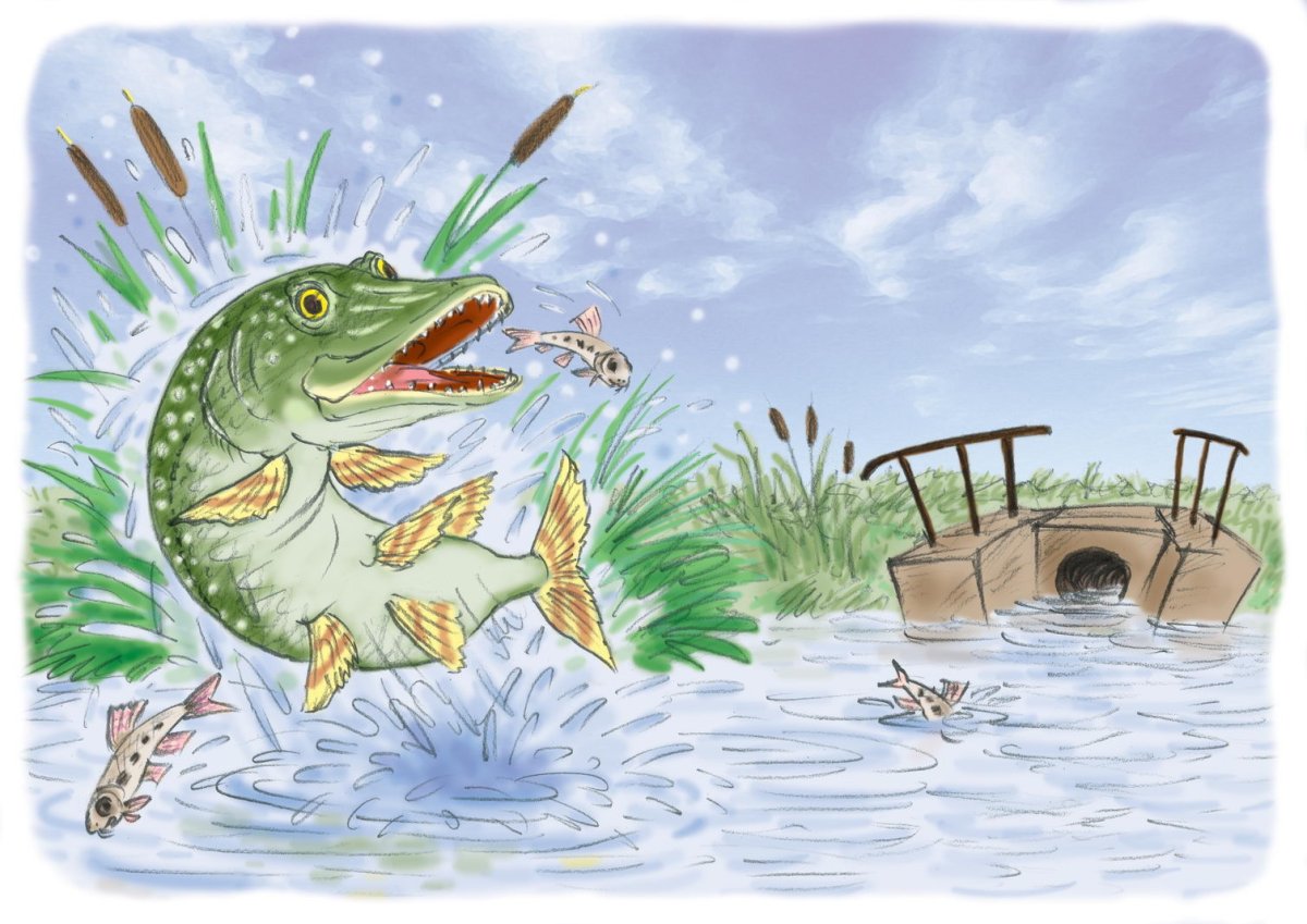 Щука из детских книжек