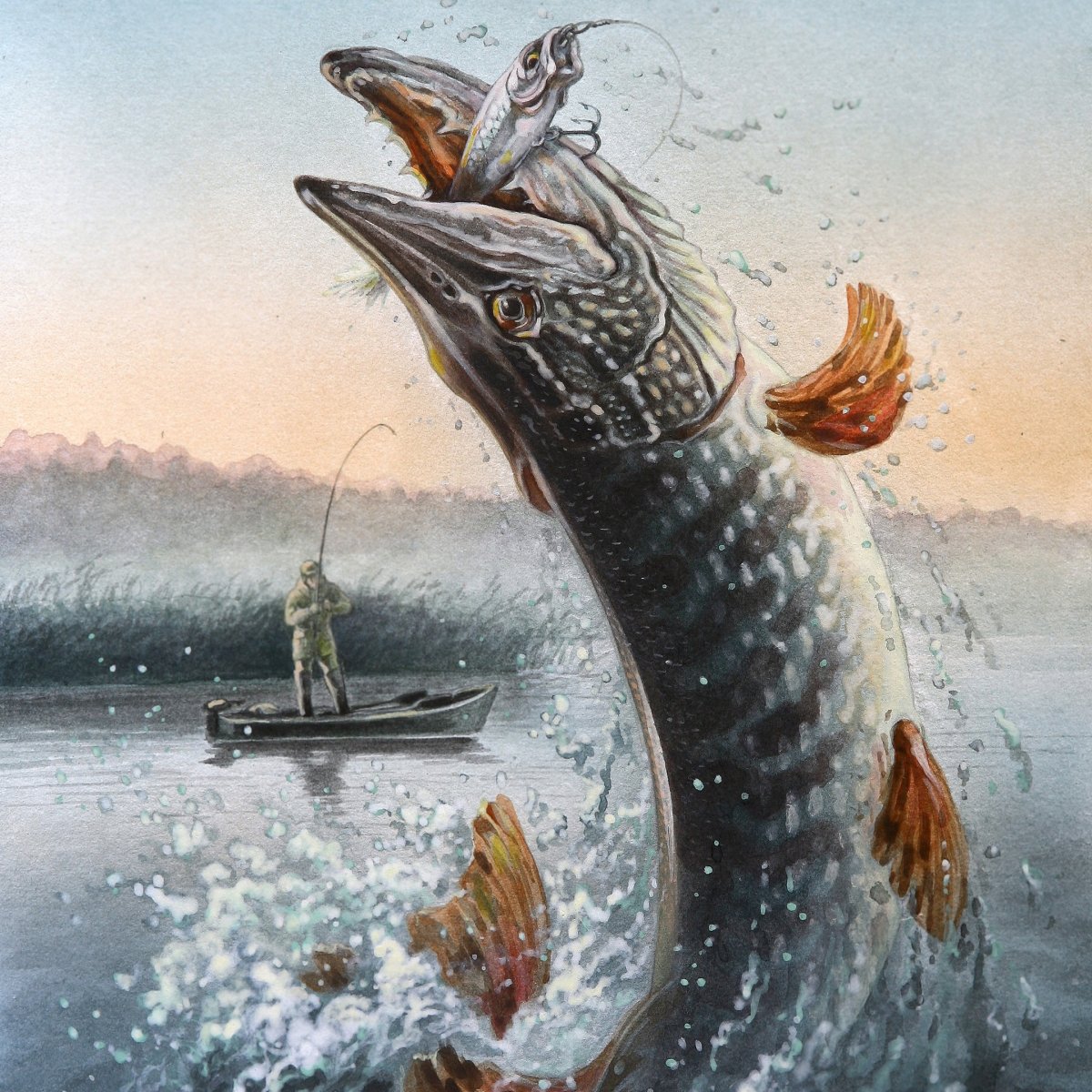 Щука из воды