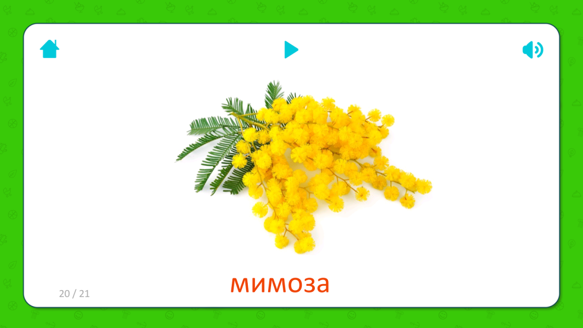 Мимоза рисунок для детей