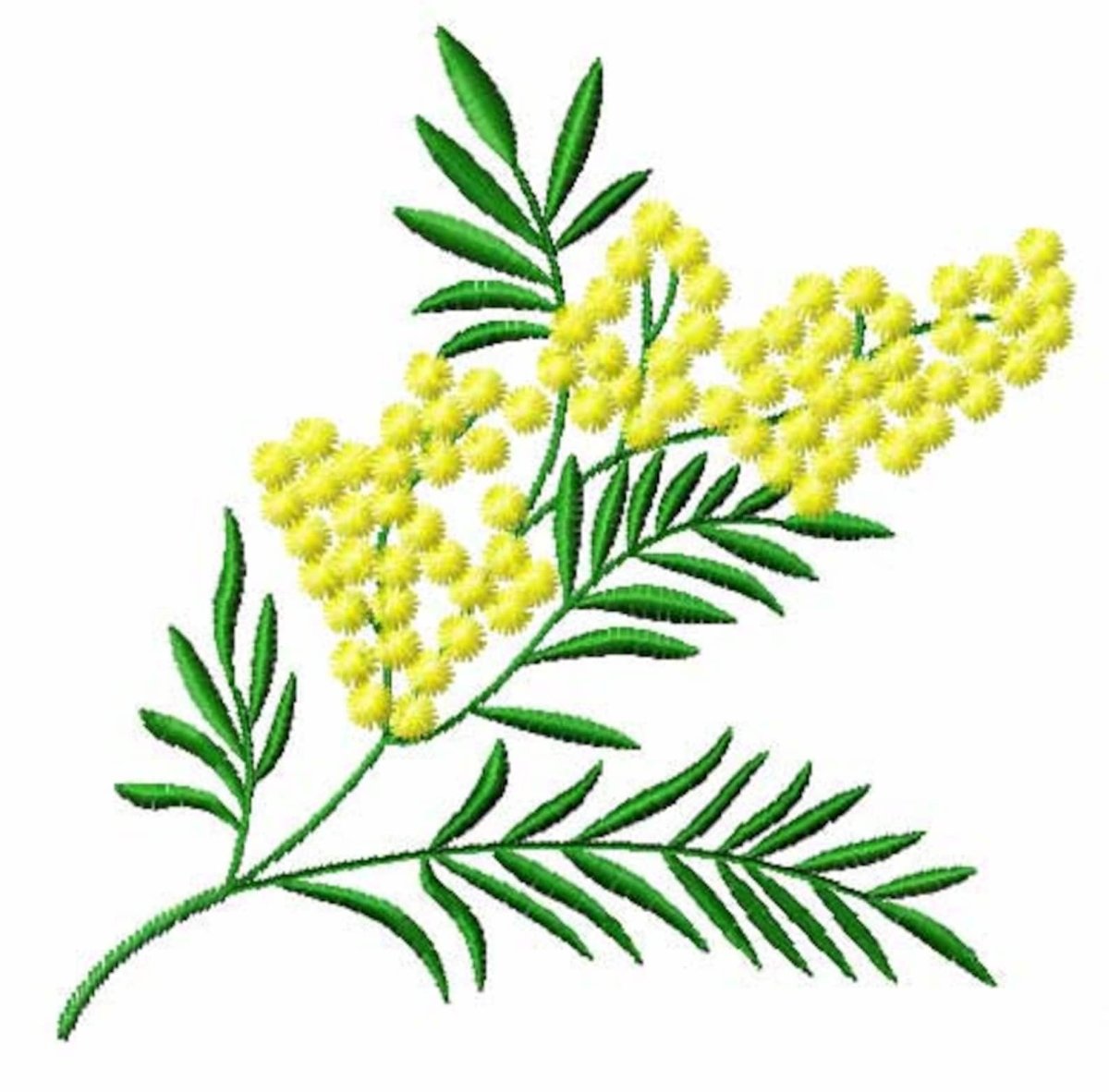 Веточка мимозы на 8 марта