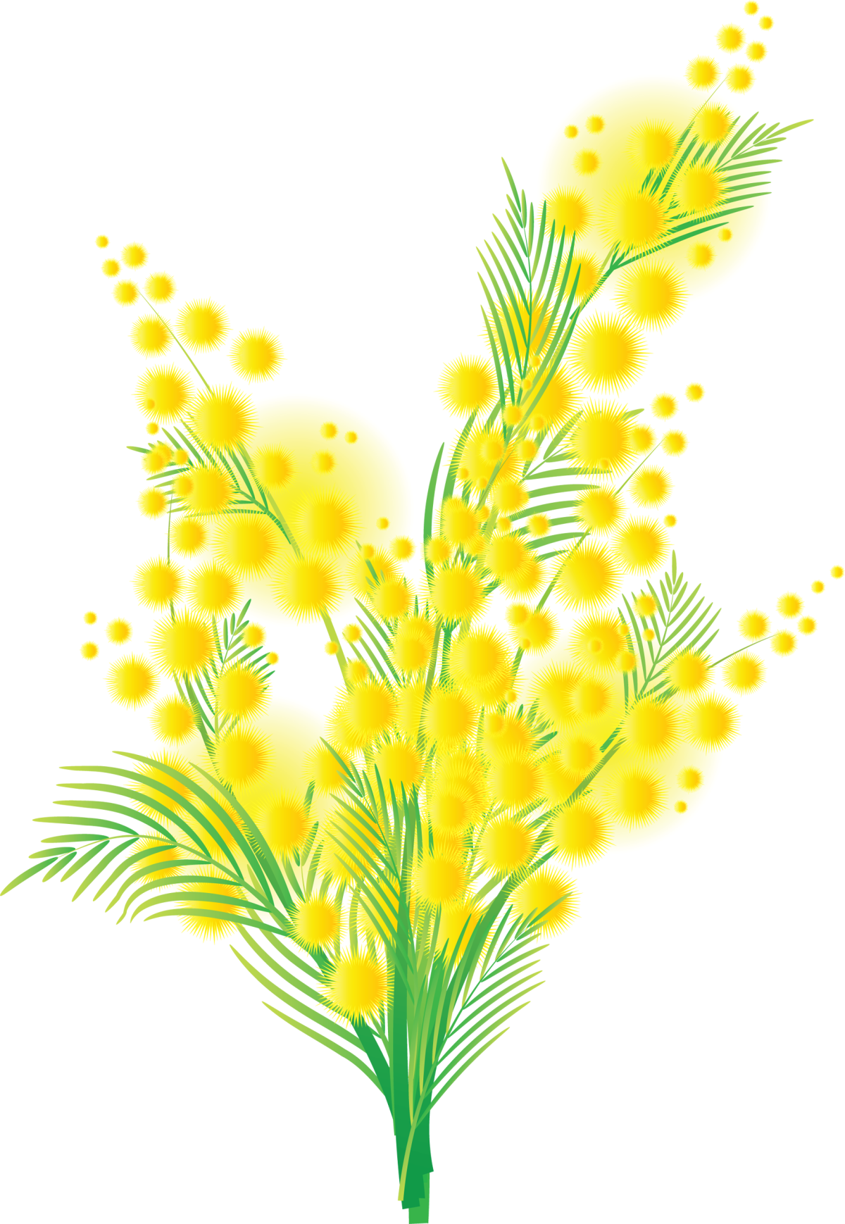 Веточка мимозы 2 мл