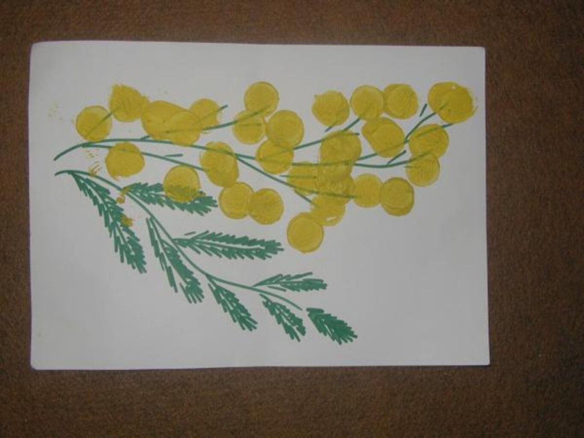 Мимоза пластилинография
