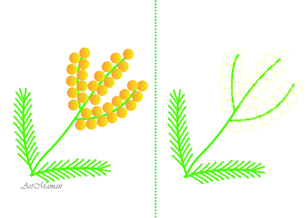 Ветка мимозы вектор