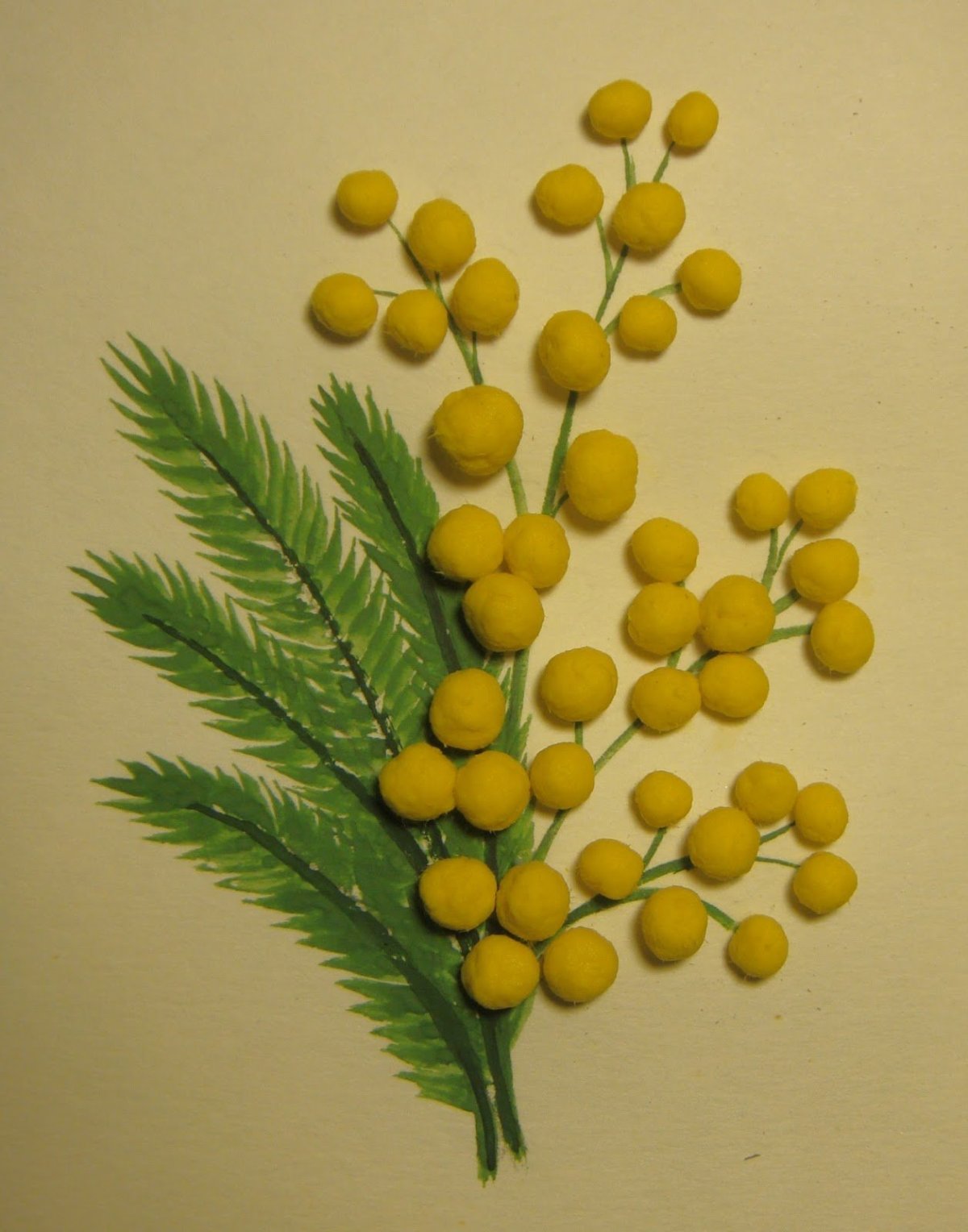 Мимоза флорибунда