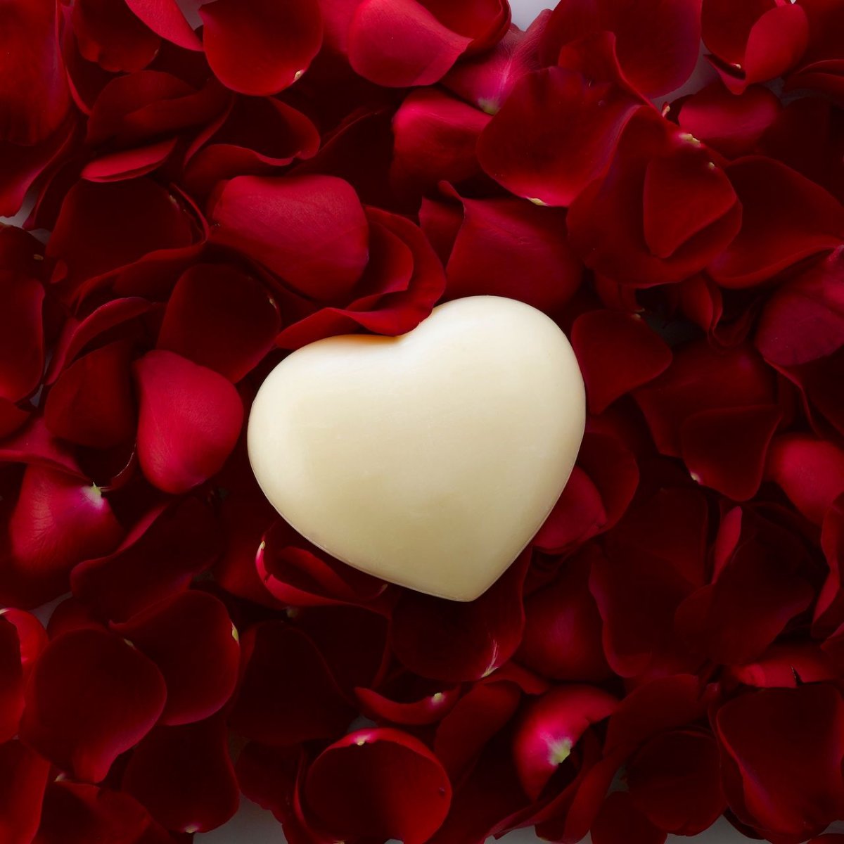 Сердце любовь