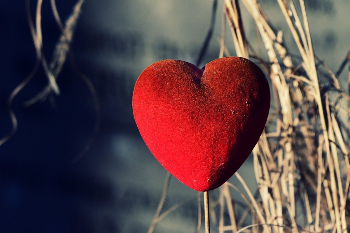 Огромное сердце