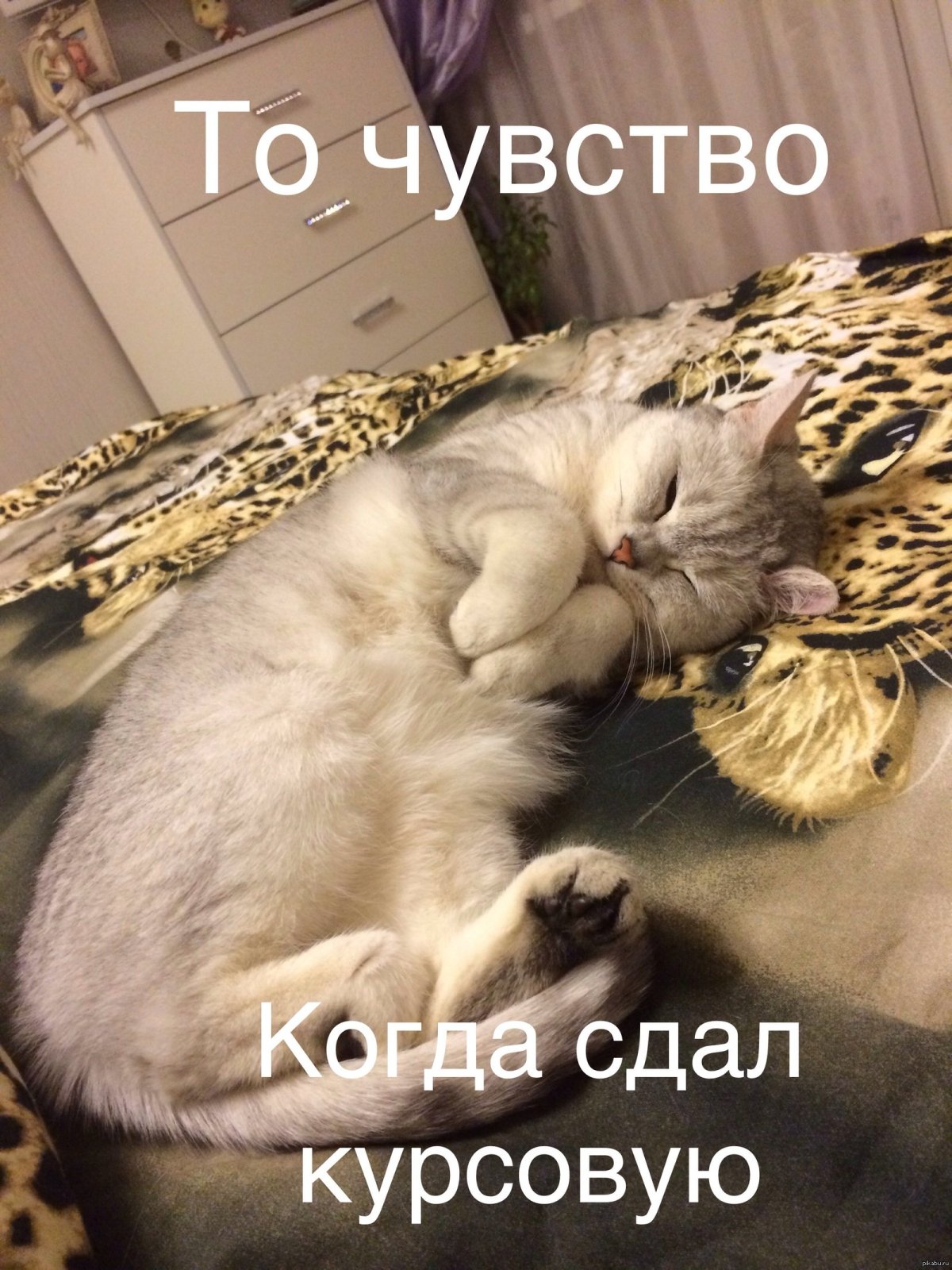 Экзамен для меня всегда праздник