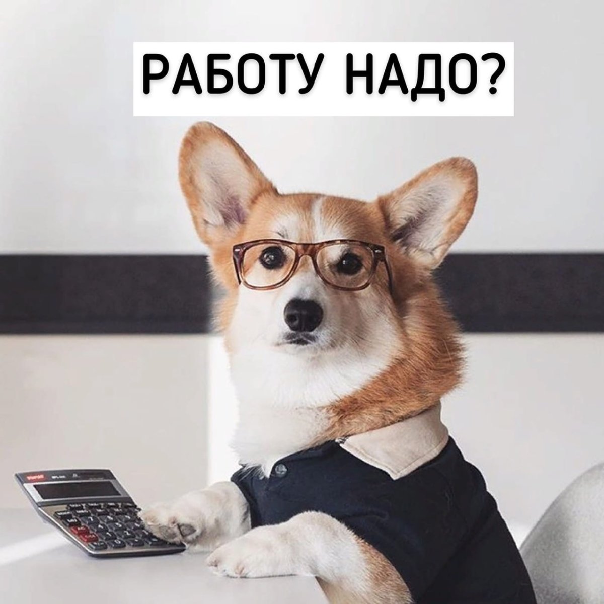 Первый день на работе мемы