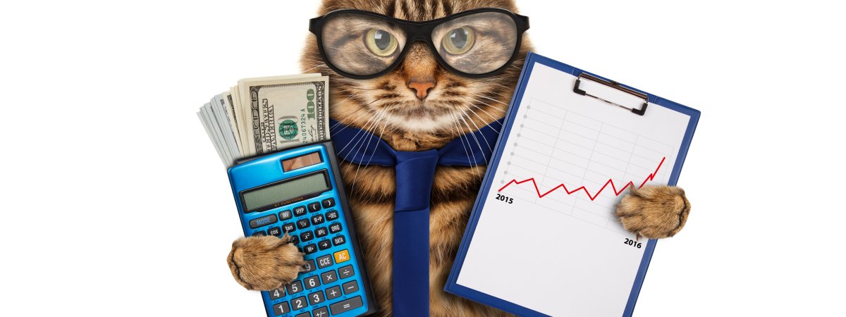 Бухгалтер деньги