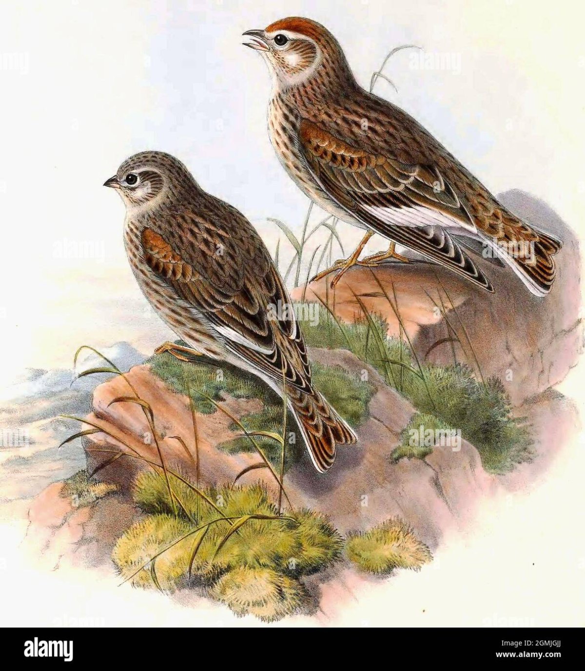 Красивая выпечка для детей