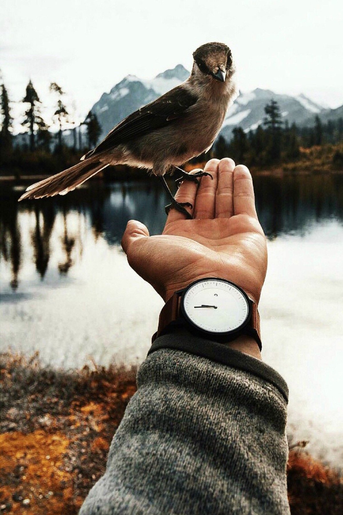 Нарисовать девочку с пучком