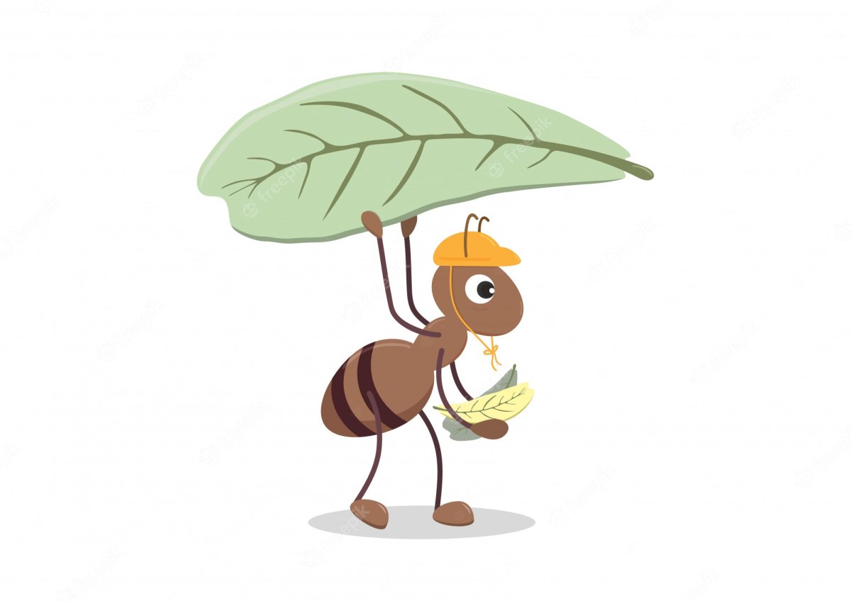 Муравьишка с веточкой