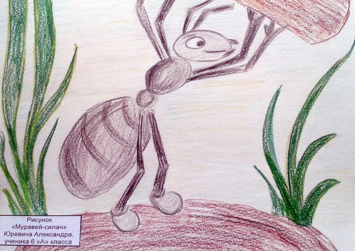 Муравьишка рисунок