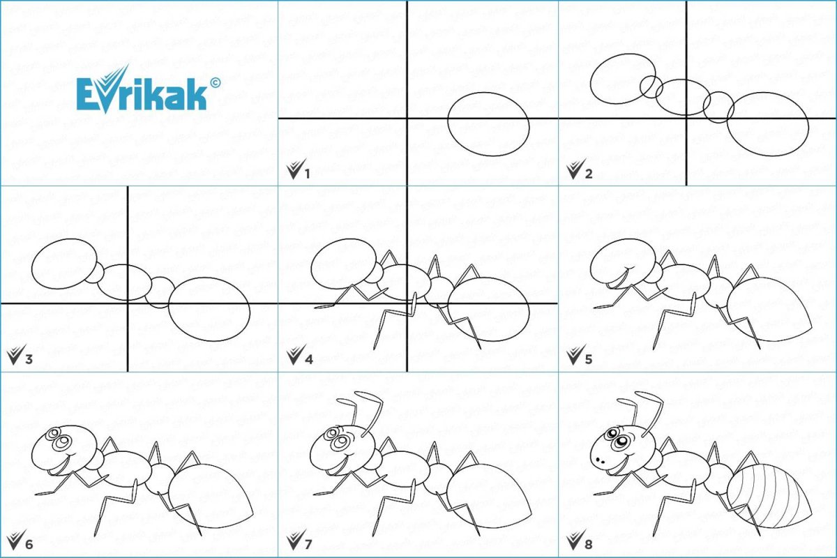 Муравей рисунок для детей карандашом пошагово