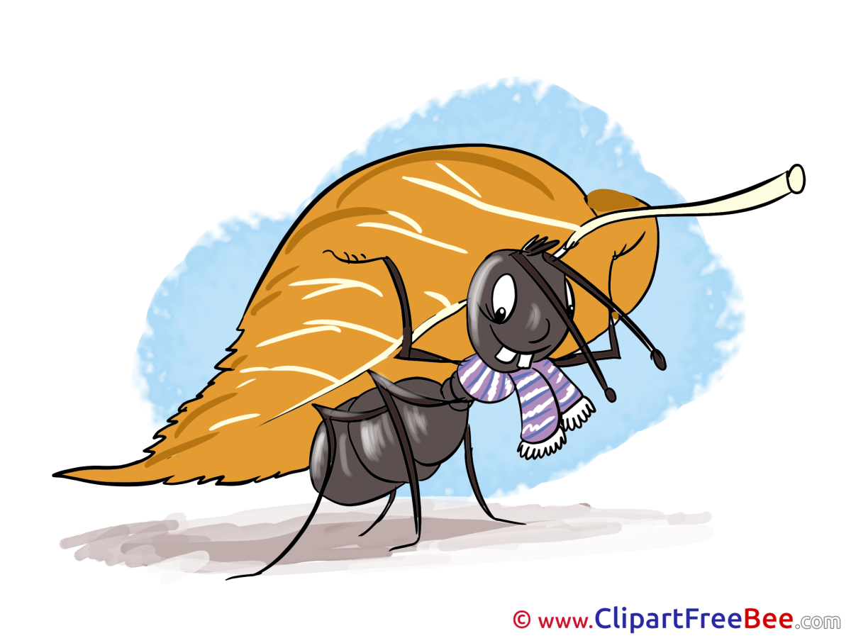 Муравей на листочке