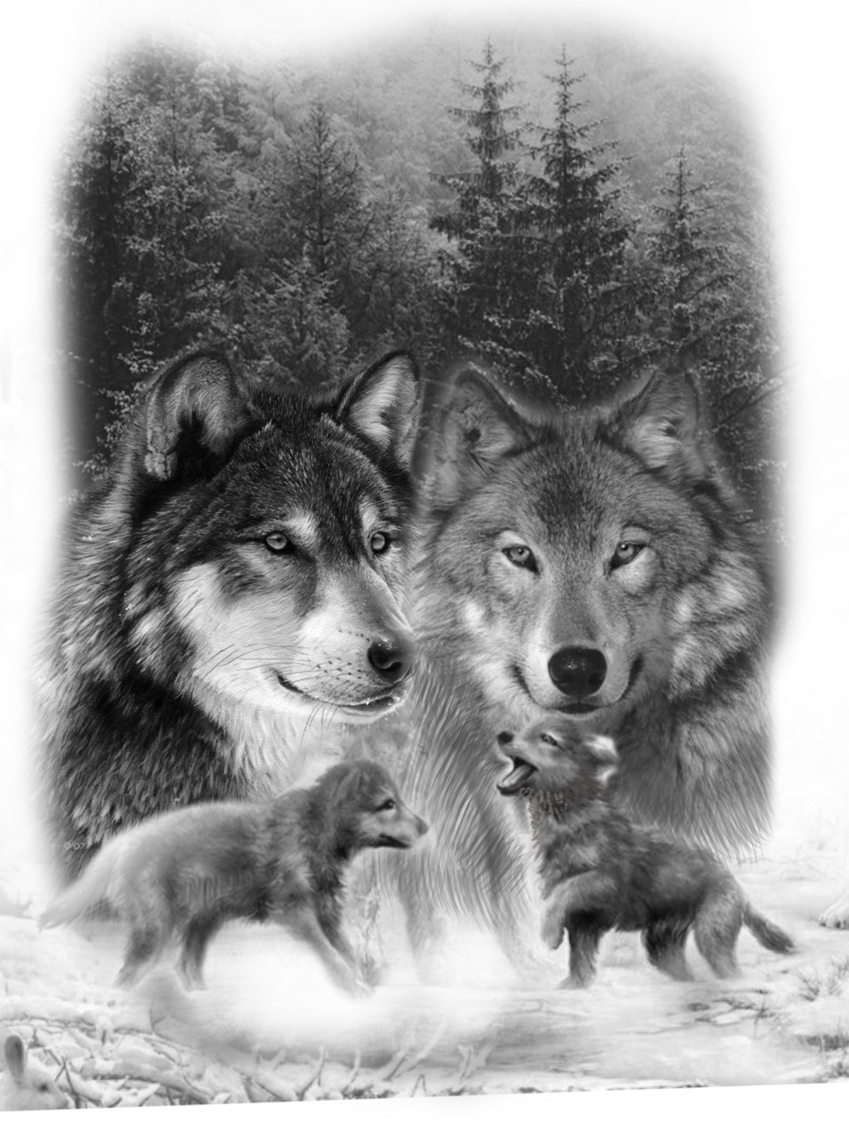 Волк волчица Волчонок семья