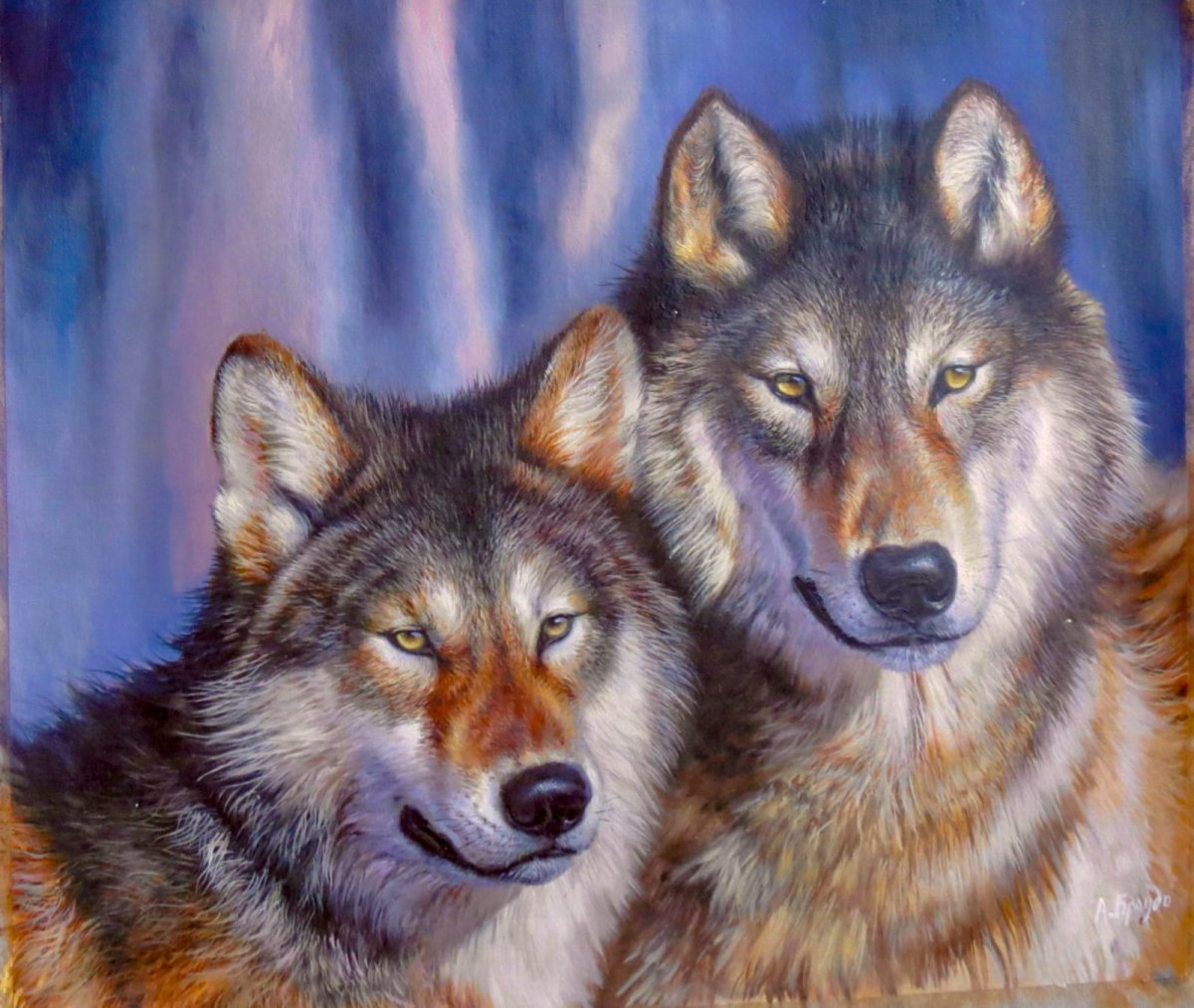 Семья Волков